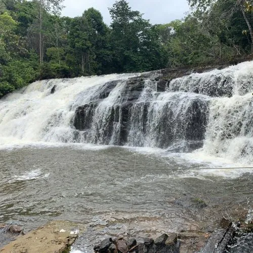 cachoeira-em-ilheus-qgj4ch0v5t0hsifs4t8sgxyw7sxkdgz6dxkrcr1keg.jpg