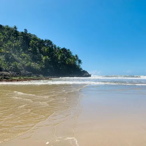 praia-em-ilheus-qgj4ch0v5t0hsifs4t8sgxyw7sxkdgz6dxkrcr1keg.jpg
