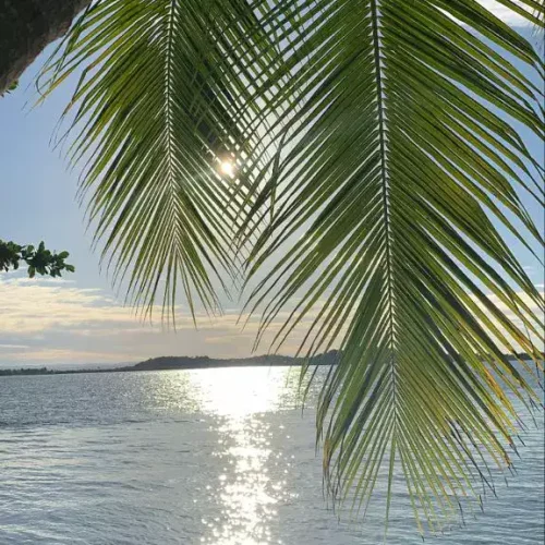 praias-em-ilheus-qgj4chypcn1s44eezbnf1fqct6sxl62wq288u10688